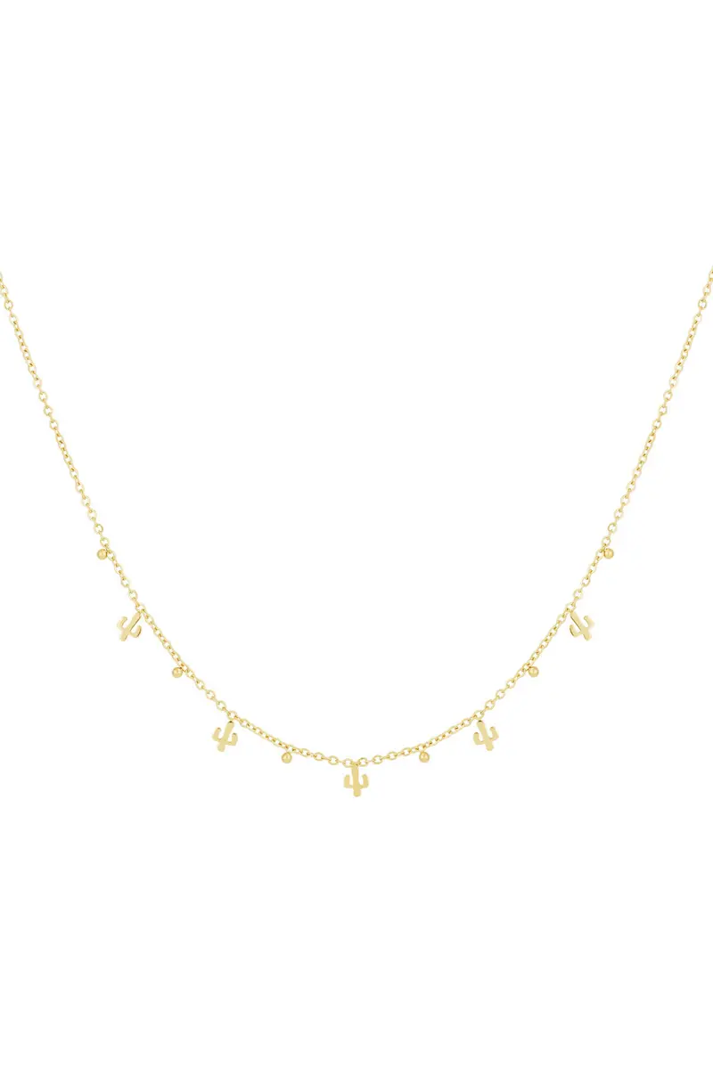 desert ketting