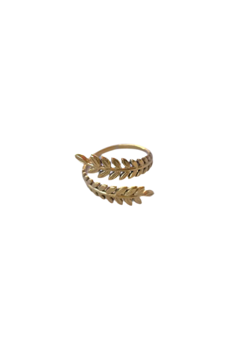 Fern ring