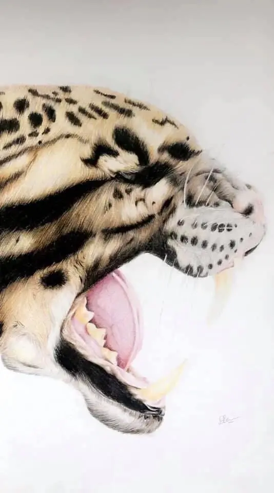 Leopards Roar