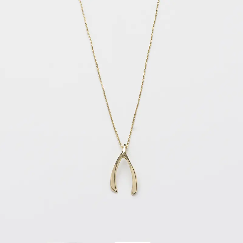 Necklace & Wishbone