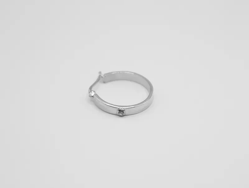 The Shiny Hoops Silver