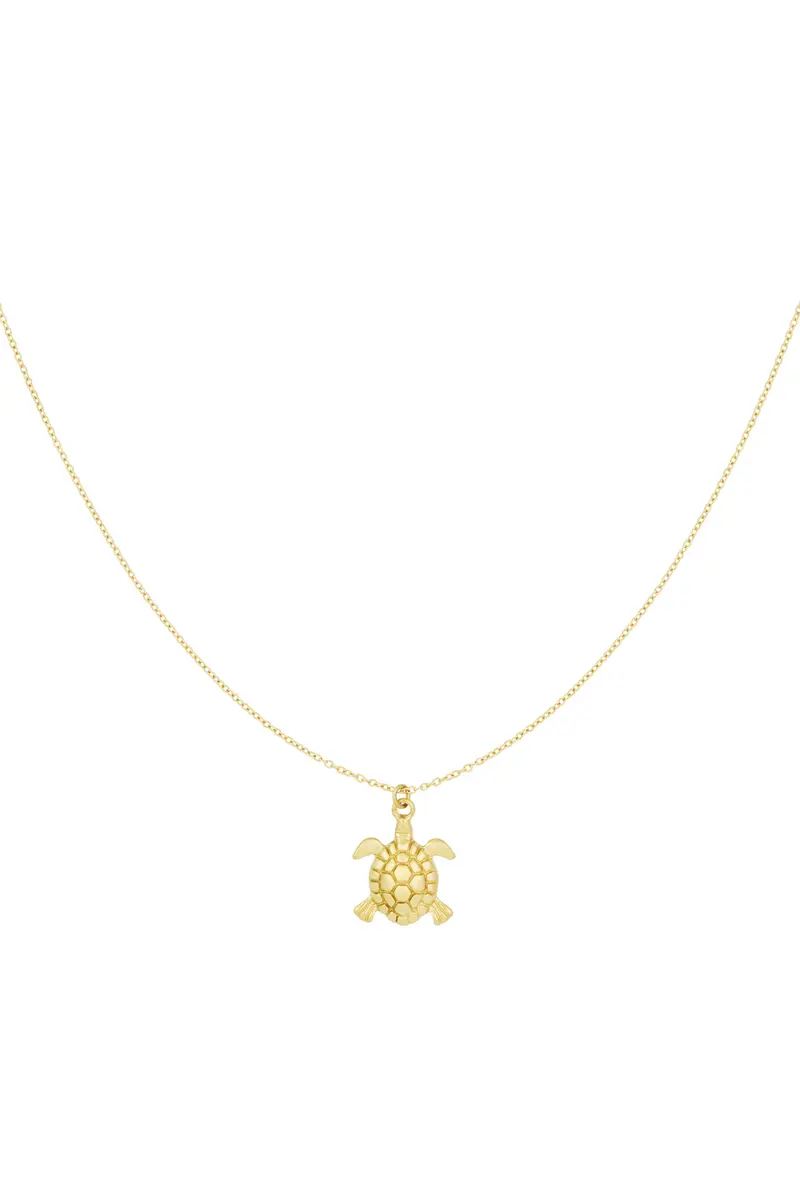 turtle tides ketting